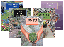 Succulents Series